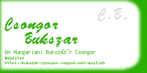 csongor bukszar business card